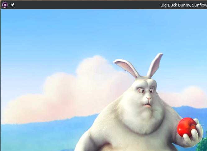 Big Buck Bunny SW composed